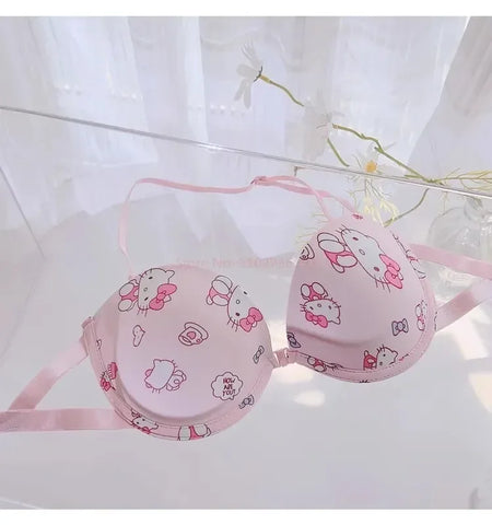 Hot Cute Sanrio Bra Set Hello Kitty Sweet Underwear Panties And Bra Set Push-Up Bra Comic Underwear Sexy Pure Desire Girl Gift