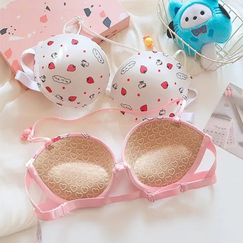 Hot Cute Sanrio Bra Set Hello Kitty Sweet Underwear Panties And Bra Set Push-Up Bra Comic Underwear Sexy Pure Desire Girl Gift