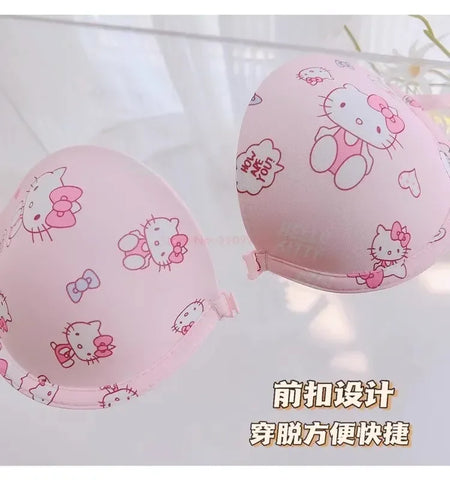 Hot Cute Sanrio Bra Set Hello Kitty Sweet Underwear Panties And Bra Set Push-Up Bra Comic Underwear Sexy Pure Desire Girl Gift