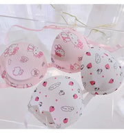Hot Cute Sanrio Bra Set Hello Kitty Sweet Underwear Panties And Bra Set Push-Up Bra Comic Underwear Sexy Pure Desire Girl Gift